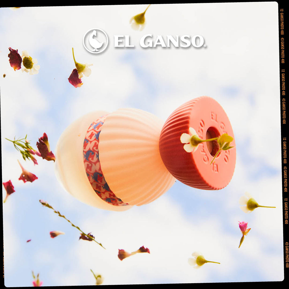 EL GANSO Fun & Chic Eau de Parfum Mujer - Perfume Femenino Floral Afrutado