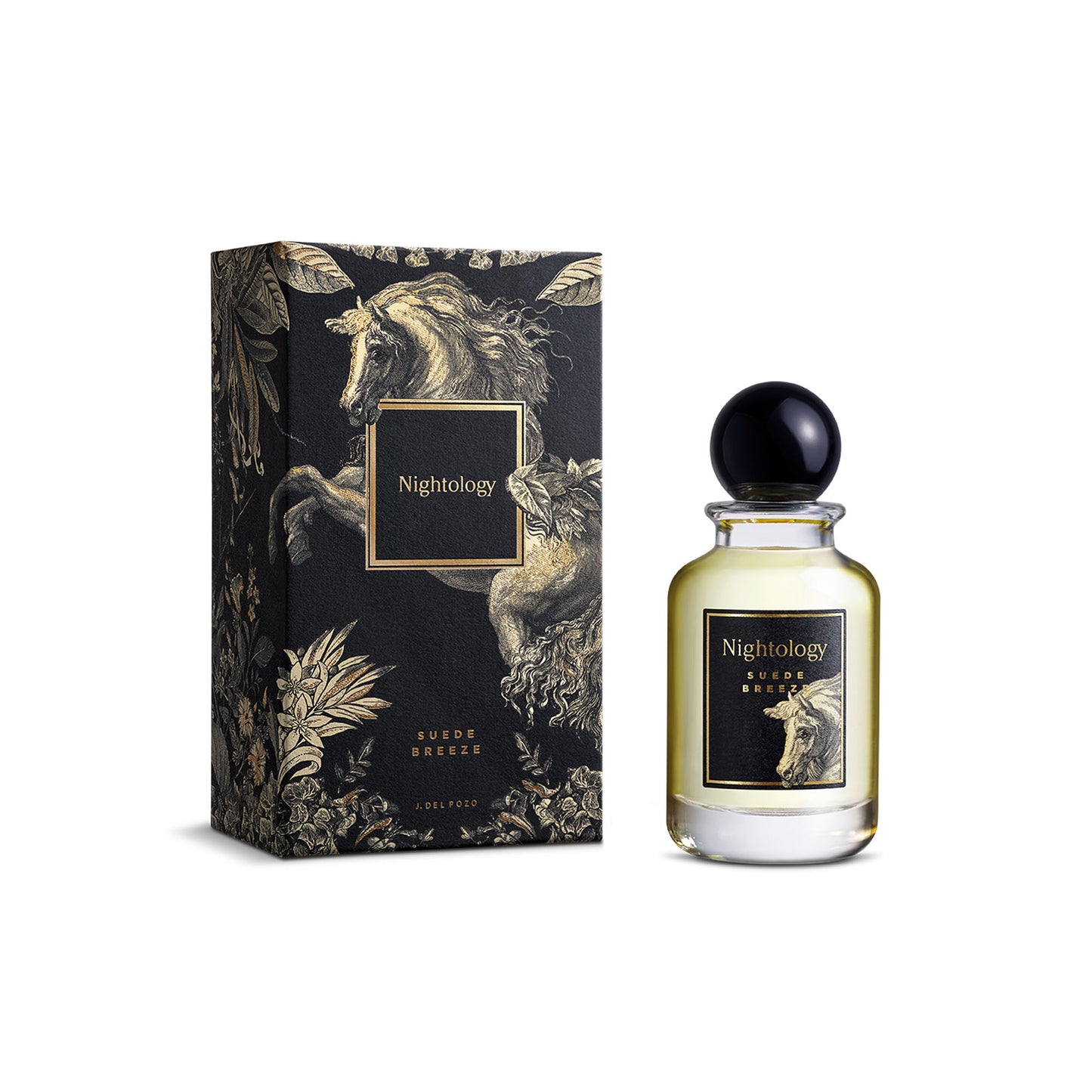 NIGHTOLOGY Suede Breeze Eau de Parfum 100ml - Perfume Unisex Cítrico Cuero