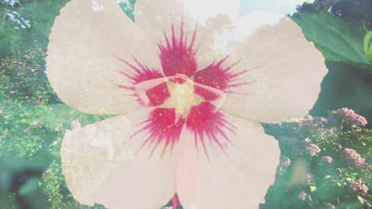 EL GANSO Fun & Chic Eau de Parfum Mujer - Perfume Femenino Floral Afrutado