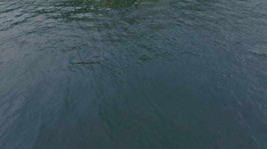 EL GANSO Blue Code Eau de Parfum - Perfume de Hombre